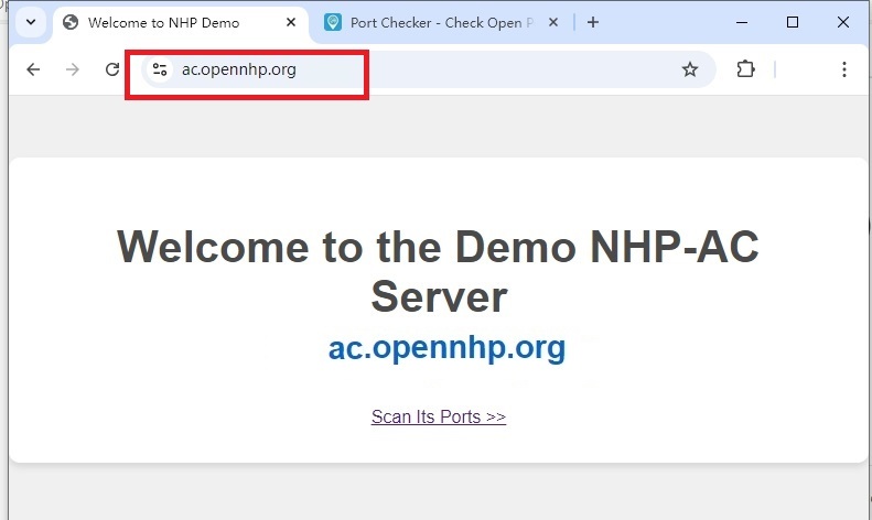 NHP Demo - Access Granted After Authentication